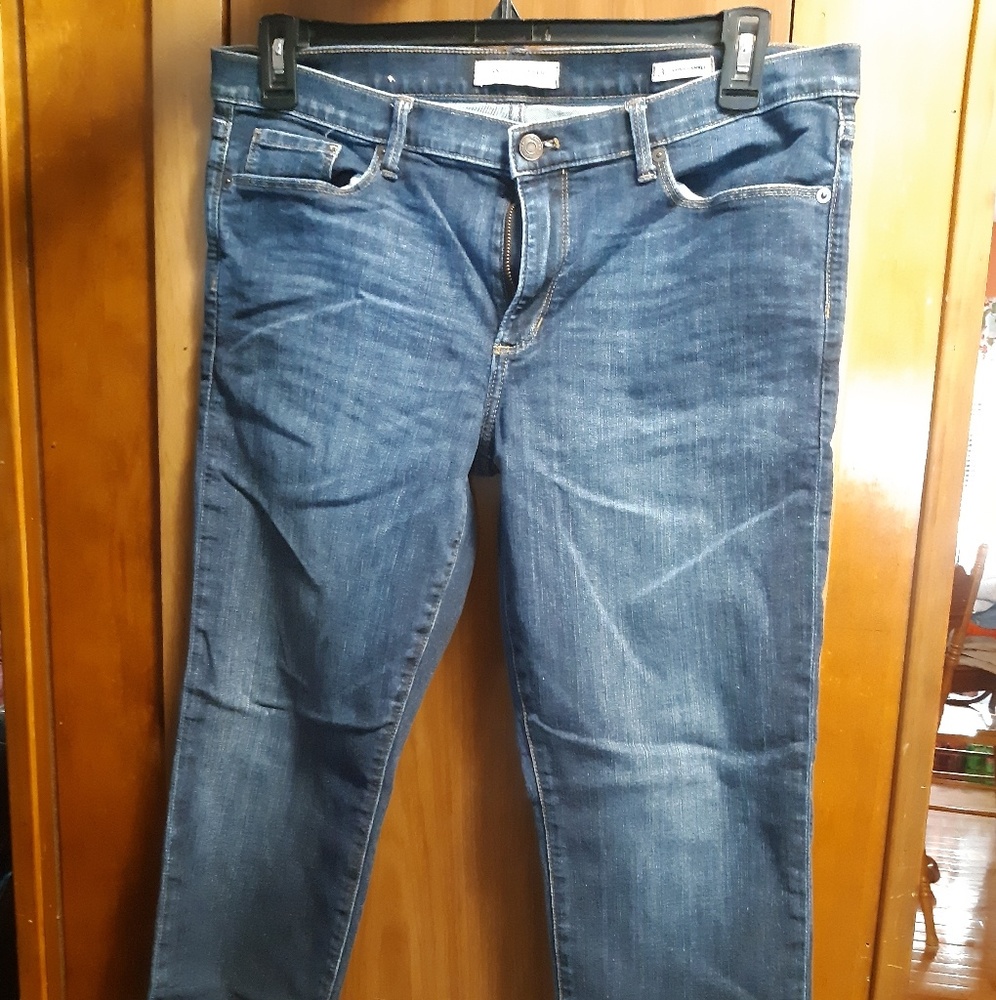 Banana Republic Premium Skinny Ankle Jeans